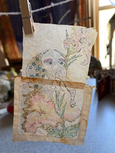 Load image into Gallery viewer, Teabag Drawing- El Iris
