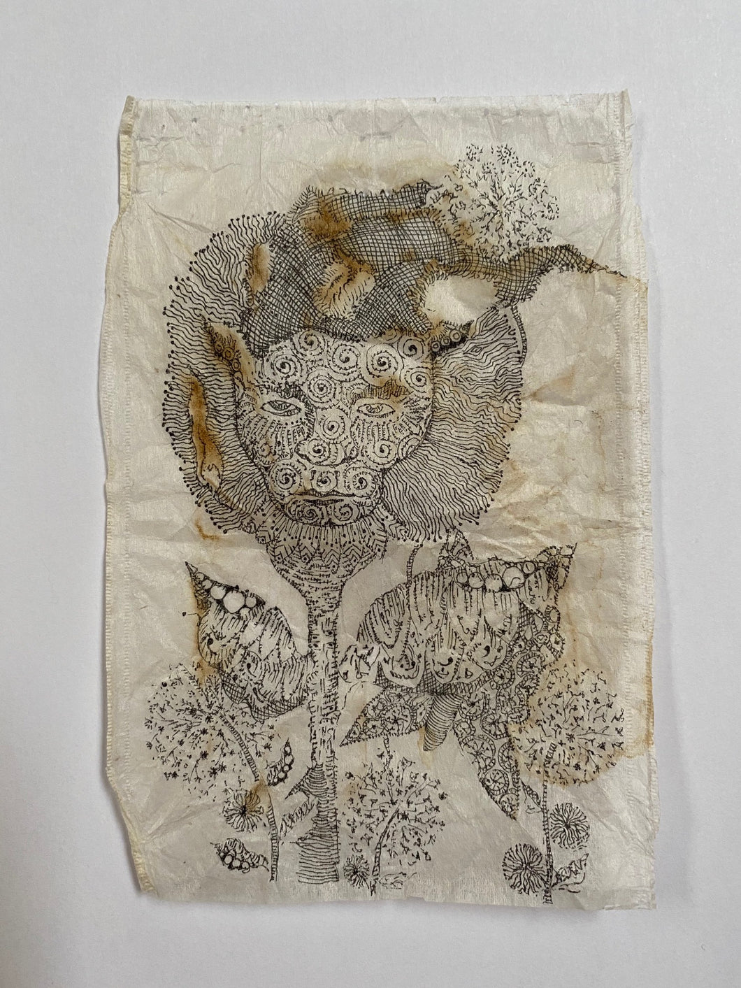 Teabag Drawing- Dandelion