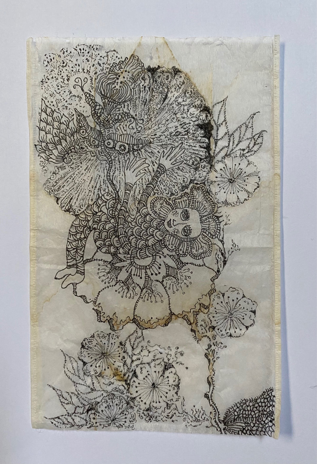 Teabag Drawing- Talking with Kirsty